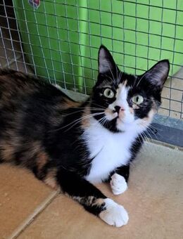 Serafina und ihr Bruder Mario - Berlin