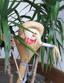 Preiswerte Gartenarbeiten usw. in 57537