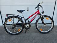 Verkaufe ein Fahrrad der Marke Pegasus FREE33 ,24Zoll 21Gang Aluminium Rahmen Felgendynamo - Roding Zentrum