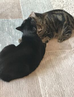 Livie und Jonny - Krefeld
