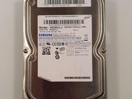 Samsung 500GB SATA Festplatte - HD501LJ - Koblenz Zentrum