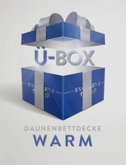 Excellent Daunenbettdecke Überraschungsbox, Füllung: 90% Daunen, 10% Federn, Bezug: Baumwolle, absoluter Sonderpreis, wegen Lagerräumung, Solange der Vorrat reicht