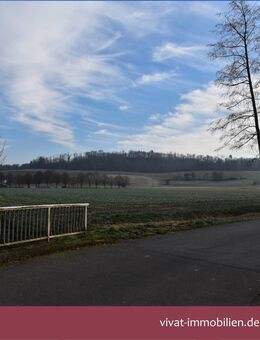KÄUFERPROVISIONSFREI! Großwohnung (eig. 2 WE: 1ZKB + 3ZKB) im Obergeschoss mit 2 Stellplätzen. - Ranstadt