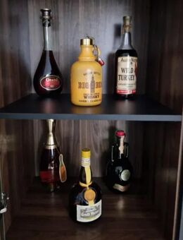 Wertvolle Alkohol Sammlung Whiskey/Cognac/Wein - Reken