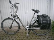GIANT E-Bike, Front-Nabenantrieb, 7-Gang -Nabenschaltung - Vallendar
