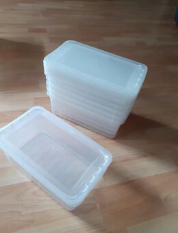 Kuststoffbox Clearbox 6 Stück a' ca. 5,5 l - Wolfenbüttel