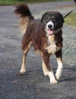 Tayto - zutraulich u. unkompliziert - Lohra