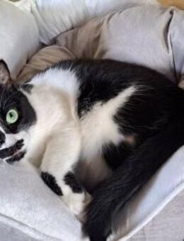 Mama POLA und ihre Tochter PILI - Berlin