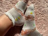 Getragene weiße Socken 2 Tage getragen 🌸💗 - Krefeld