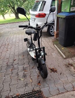 Elektro Roller 600 W 6 Monate alt - Neroth