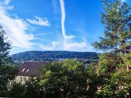 Pittoreske Traumwohnung mit 4.5 Zimmern in Ingelfinger Stadtmitte - Ingelfingen