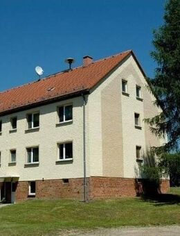 3-Raum Wohnung im EG mit Einbauküche in ländlicher Lage - Colditz