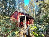 Genießen Sie die Ruhe der Natur! Süßes Ferienhaus in Ahausen - Ahausen