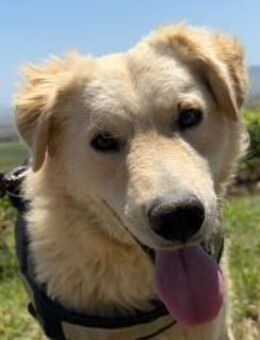 Alfi - Rieden (Rheinland-Pfalz)