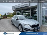 Skoda Octavia, 2.0 TDI Combi First Edition N, Jahr 2021 - Demmin