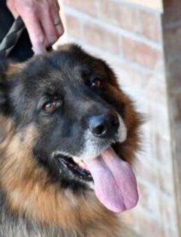 Ayo sucht aktive Menschen - Neuss