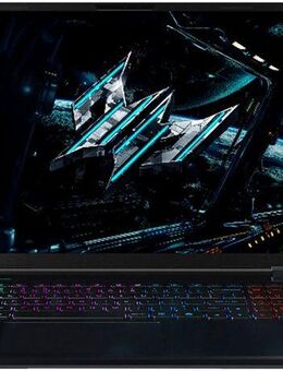 Acer Predator Helios Neo 16S AI OLED Gaming-Notebook (40,64 cm/16 Zoll, Intel Core Ultra 9 275HX, GeForce RTX 5070, 1000 GB SSD)