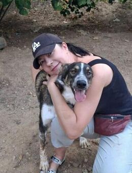 Whaty ein Traumhund - Berlin