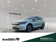 Skoda Enyaq, 85 Loft 82kWh, Jahr 2024 - Niestetal