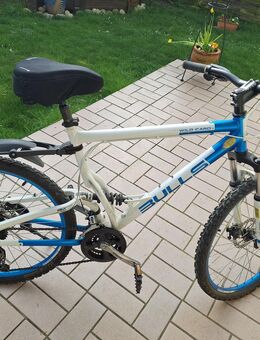 Bulls Mountainbike - Bad Rappenau