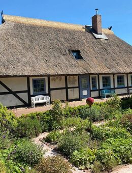 Bauernhaus mit Reetdach in MV - Velgast