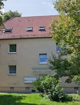 Klein aber fein - spazieren Sie zum Kulkwitzer See! - Leipzig