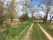 *Feldrandlage mit Weitblick - Lebensqualität zum Wohlfühlen!* - Temnitztal