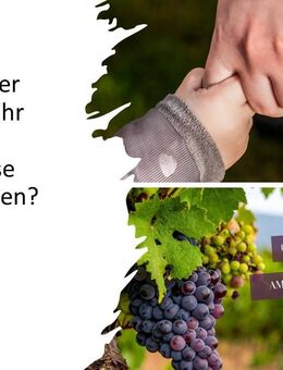 Lieber Kaufen statt Mieten? Ihr neues Zuhause: Neuester Standard Kfw 40 + QNG - Stuttgart