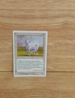 Magic The Gathering-Perleneinhorn. - Nörvenich