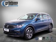 VW Tiguan, 2.0 TDI MOVE, Jahr 2024 - Brandis