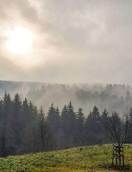Idyllisches Wohnhaus mit Stall - ideal für Pferde/-Tierhaltung oder Selbstversorgung in Brunnadern - Bonndorf (Schwarzwald)