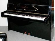 Klavier Steinway & Sons Z-114, schwarz poliert, Nr. 465382, 5 Jahre Garantie - Egestorf