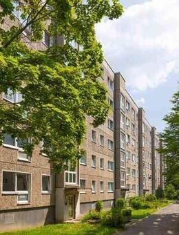 Frisch renoviert! Ansprechende 3-Zimmer-Wohnung - Dresden