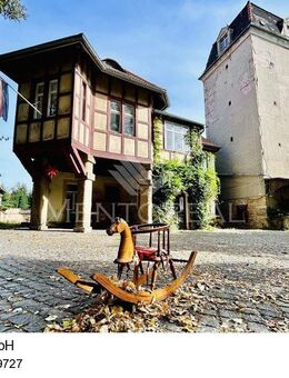 ***Historisches Mühlenanwesen am Profener Elstermühlgraben - Denkmal*** - Elstertrebnitz