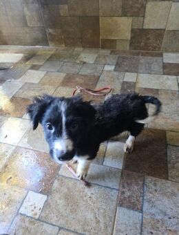 Lieber Boomer - Berlin