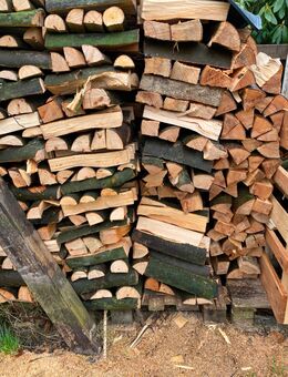Kaminholz, Brennholz - Bülkau