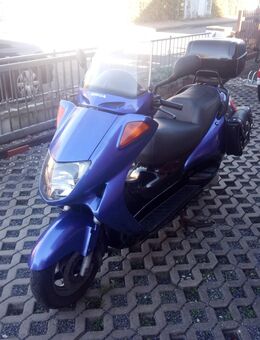 Honda Pantheon 125. 2 takt Erstzulassung 1999 - Gütersloh