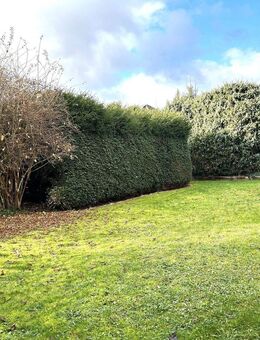 Charmanter Bungalow auf attraktivem Grundstück - Hofheim (Taunus)