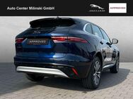 Jaguar F-Pace P250 SE AWD PanoSd Standhz. Memory - Bruchköbel