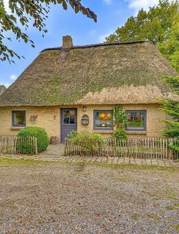 Reetgedecktes Juwel: 475m² Grdstck, 136m² Wfl., Partygarage, Kamin, ausgebautes OG & überd. Terasse! - Hollingstedt (Landkreis Schleswig-Flensburg)