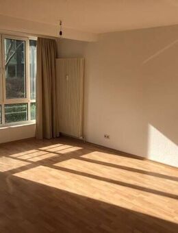 Sehr schöne 1-Raum-Wohnung in super Lage auf dem Werder in Magdeburg - Magdeburg