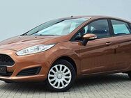 Ford Fiesta, 1.0, Jahr 2016 - Neuensalz