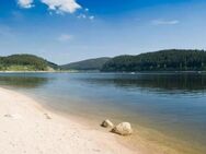 Wer kommt mit an den Brombachsee? - Roth (Bayern)