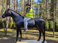 TORNADO, 3D PFERD LEBENSGROSS … - Heidesee