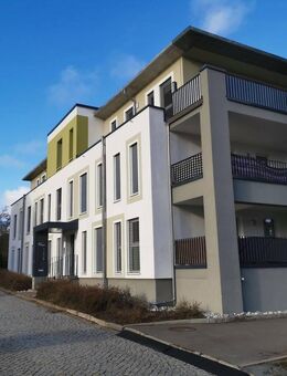 Großzügige 3-Raumwohnung in ruhiger Stadtrandlage von Worbis frei ab 01.12.2025 - Leinefelde-Worbis