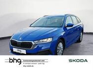 Skoda Octavia, 1.0 TSI Combi Active Octavia Combi Activ, Jahr 2021 - Reutlingen