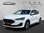 Ford Focus, 1.0 Titanium Hybrid Scheinwerferreg, Jahr 2022 - Bremerhaven