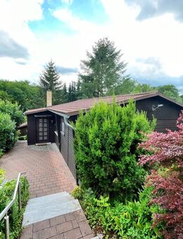 Rückzugsort im Grünen - Gemütliches Ferienhaus im Herzen des Sauerlands - Meschede (Kreis- und Hochschulstadt)