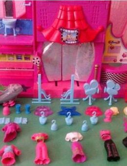 Polly Pocket Sammlung - Neuenkirchen (Nordrhein-Westfalen)