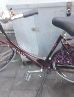 Gazelle damenfahrrad 28 zoll - Duisburg
